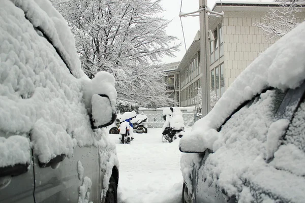 Auto's in de winter — Stok fotoğraf