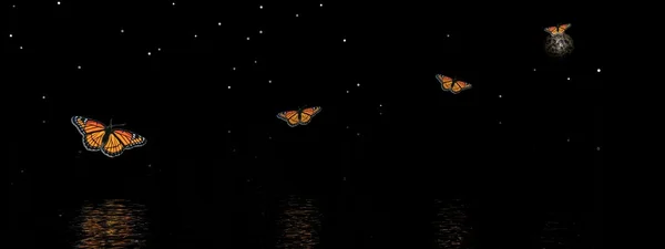 Butterflies to the moon — Stock Photo, Image