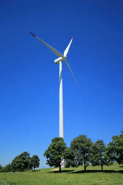Turbin wiatrowych i drzew — Zdjęcie stockowe
