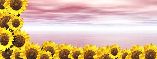 Pink ocean and sunflowers — Stock Photo, Image