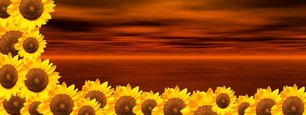 Red ocean and sunflowers — Stock Photo, Image