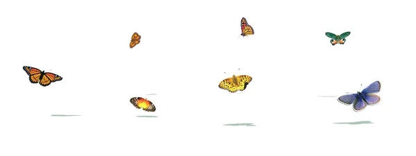 Perhoset ja sateenkaari — kuvapankkivalokuva