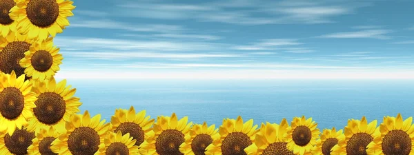 Blue ocean and sunflowers — Stock Photo, Image
