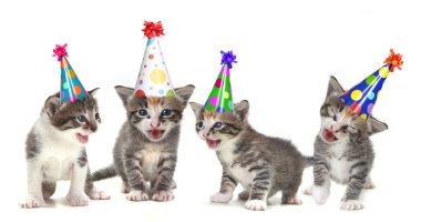 Birthday Song Singing Kittens on White Background clipart