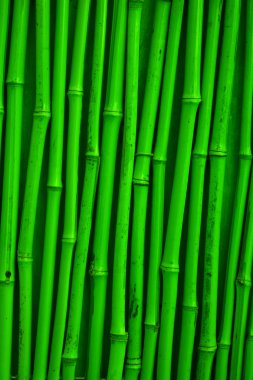 Green bamboo texture clipart