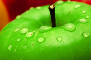 Fresh green apple macro photo clipart