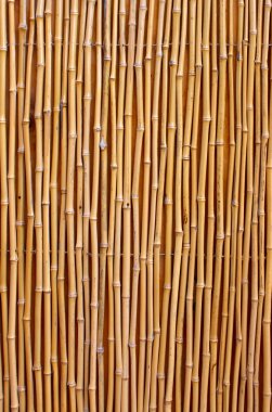 Natural bamboo texture clipart