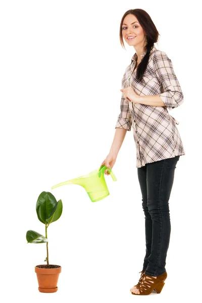 Beautiful young woman watering a plant — Stock Photo, Image