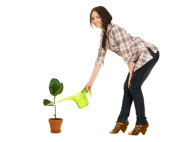 Belle jeune femme arrosant une plante — Photo
