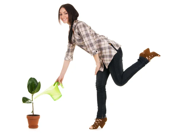 Красивая молодая женщина поливает растение — стоковое фото