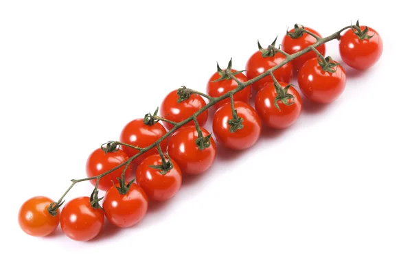 Branch of small tomatos — Stock Photo, Image