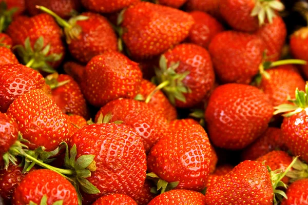 ताजे सेंद्रीय स्ट्रॉबेरी — स्टॉक फोटो, इमेज