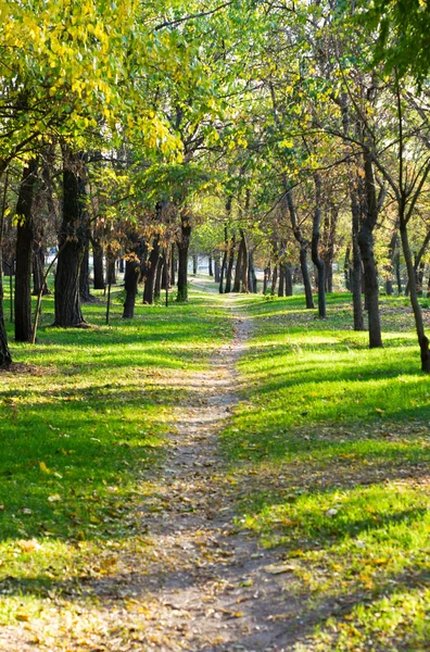 Schöner Herbstpark — Stockfoto