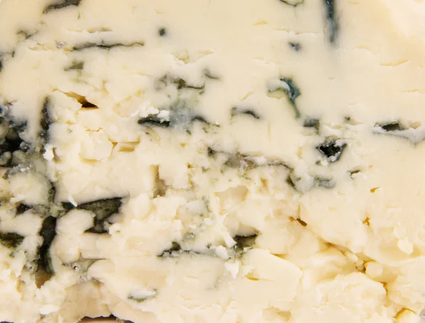 Plesnivý sýr textura — Stock fotografie