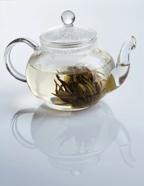 Fresh tea in glass teapot — Stock Photo, Image