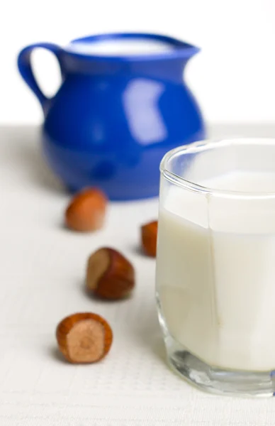 Frische Milch und Nüsse — Stockfoto