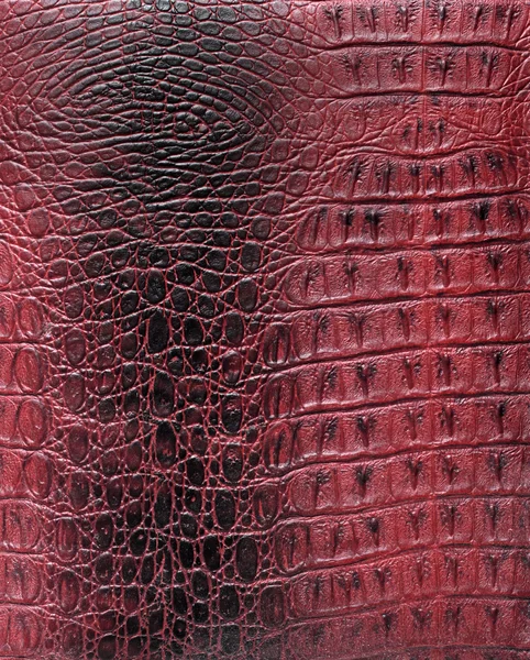 爬虫類の肌の質感 — ストック写真
