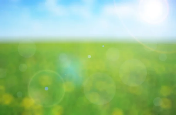 Piękna łąka na słoneczny dzień — Zdjęcie stockowe