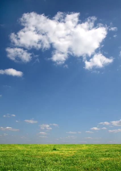 Clouds over a meadow — Stock Photo, Image