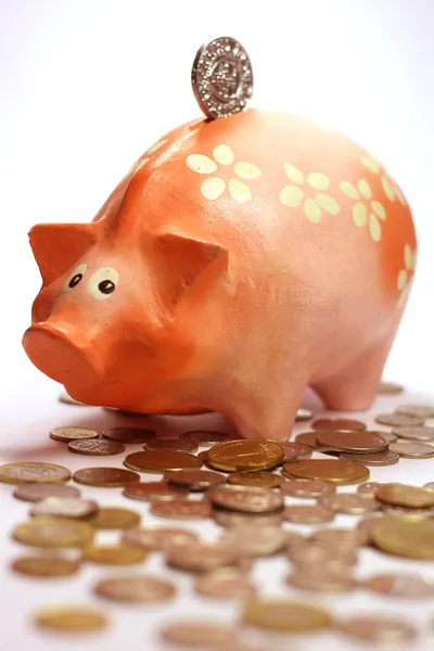 Piggy bank i wiele monet — Zdjęcie stockowe