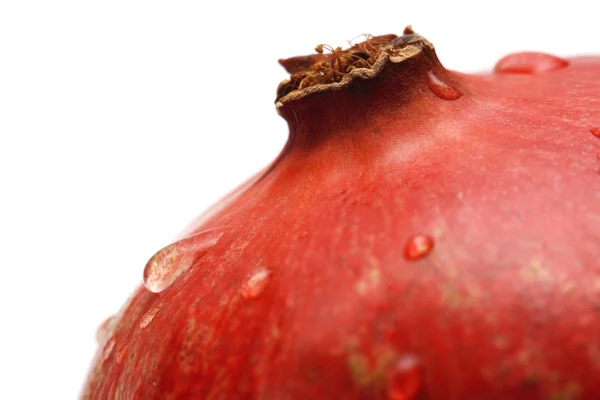 Pomegranate with waterdrops — Stock Photo, Image