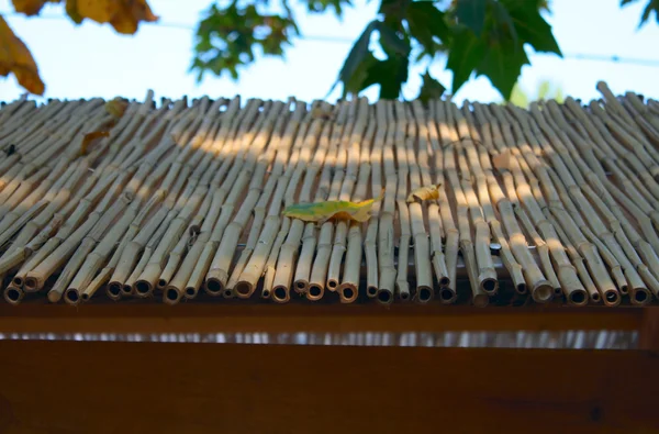 Бамбуковая крыша крупным планом — стоковое фото