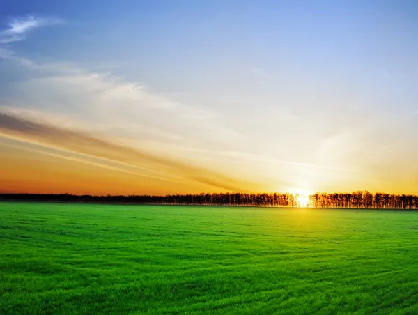 Puesta de sol sobre un hermoso paisaje — Foto de Stock