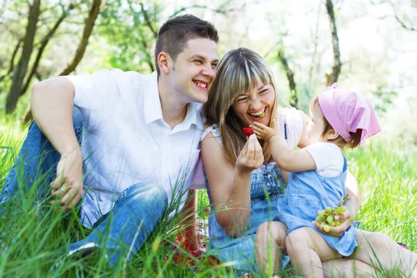 Jonge gezin van drie op een picknick — Stockfoto