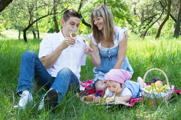 年轻的家庭野餐三 — 图库照片