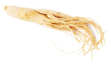 Ginseng root isolated on white background clipart
