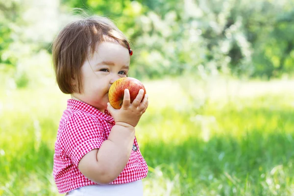 Carino bambino su un picnic — Foto Stock