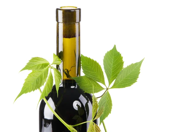 Garrafa de vinho tinto em folhas verdes — Fotografia de Stock