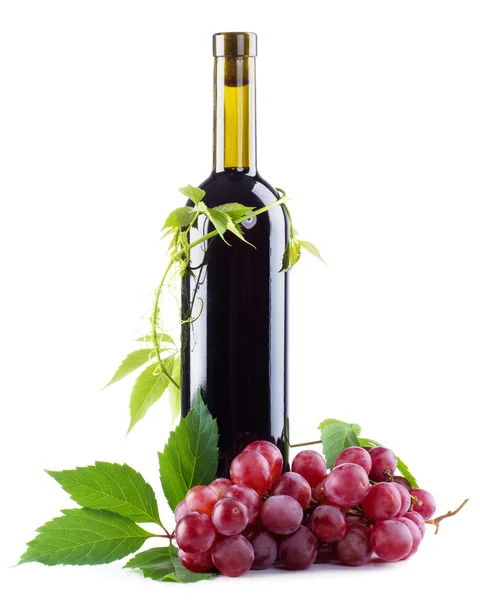 Botella de vino tinto con uvas — Foto de Stock