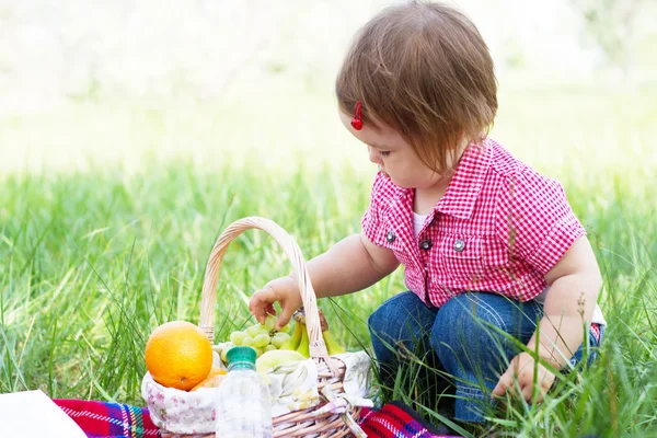 Schattig kind op een picknick — Stockfoto