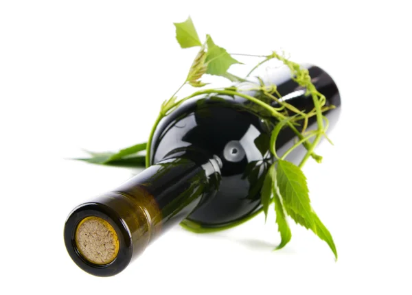 Botella de vino en hojas verdes — Foto de Stock