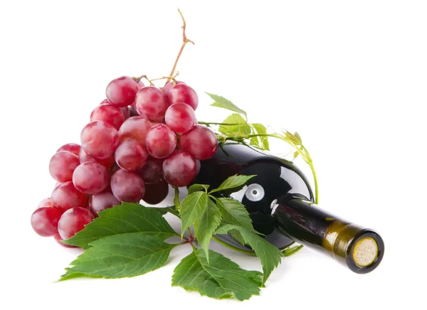 Flaska rött vin med druvor — Stockfoto