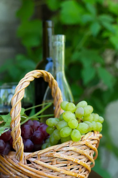 Garrafas de vinho tinto e branco com uvas — Fotografia de Stock