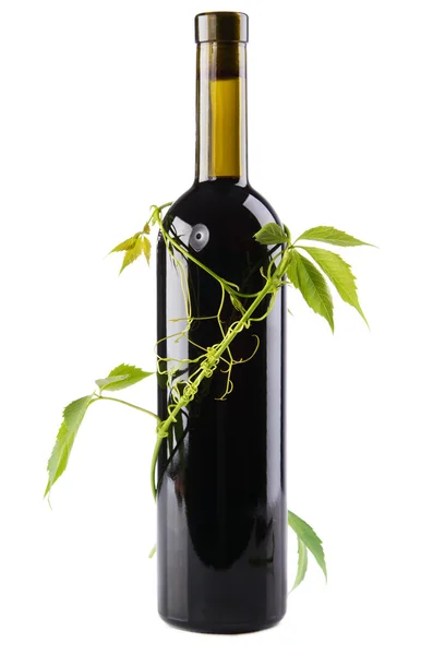Botella de vino en hojas verdes — Foto de Stock