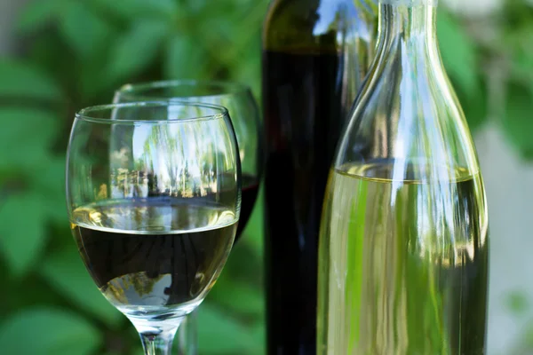 Botellas de vino tinto y blanco con uvas — Foto de Stock