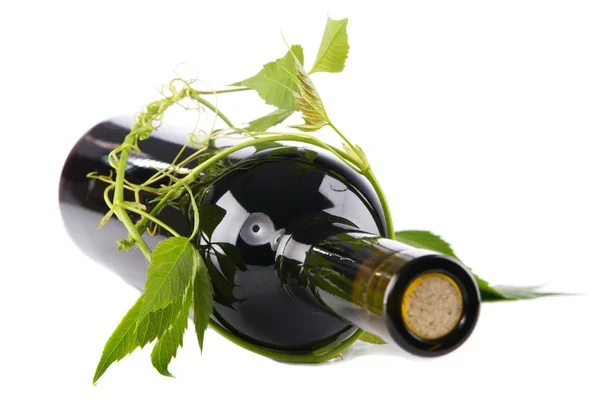 Бутылка вина в зеленых листьях — стоковое фото