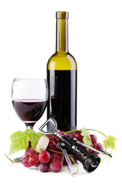 Flasche Rotwein mit Trauben — Stockfoto