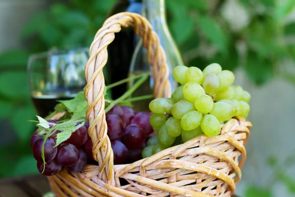 Flessen van rode en witte wijn met druiven — Stockfoto