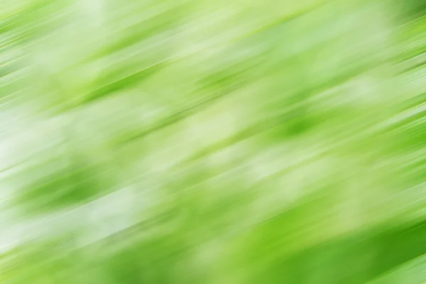 Fundal verde abstract — Fotografie, imagine de stoc