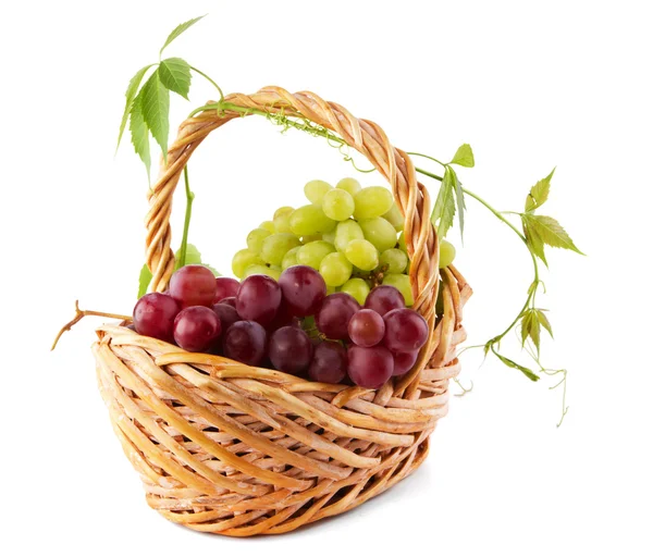Wiklinowy kosz z winogron — Zdjęcie stockowe