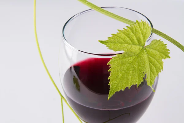Copo de vinho tinto, com uma folha verde — Fotografia de Stock
