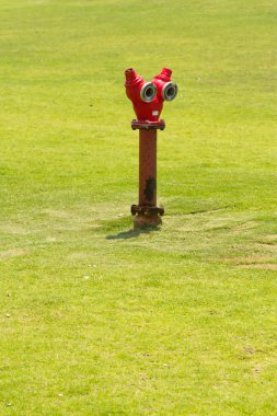 fireplug çim sahada