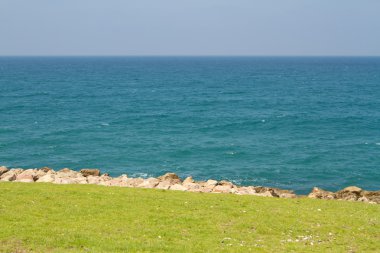 mavi deniz ve yeşil çim doğal arka plan