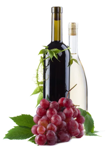 Bouteille de vin rouge aux raisins — Photo