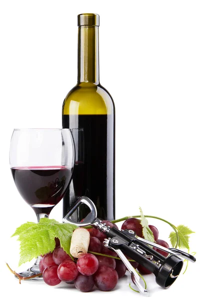 Бутылка красного вина с виноградом — стоковое фото