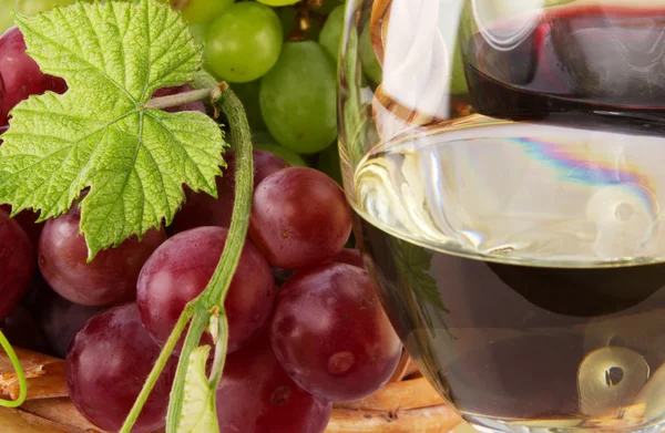 Czerwone i białe wino, z kiści winogron — Zdjęcie stockowe